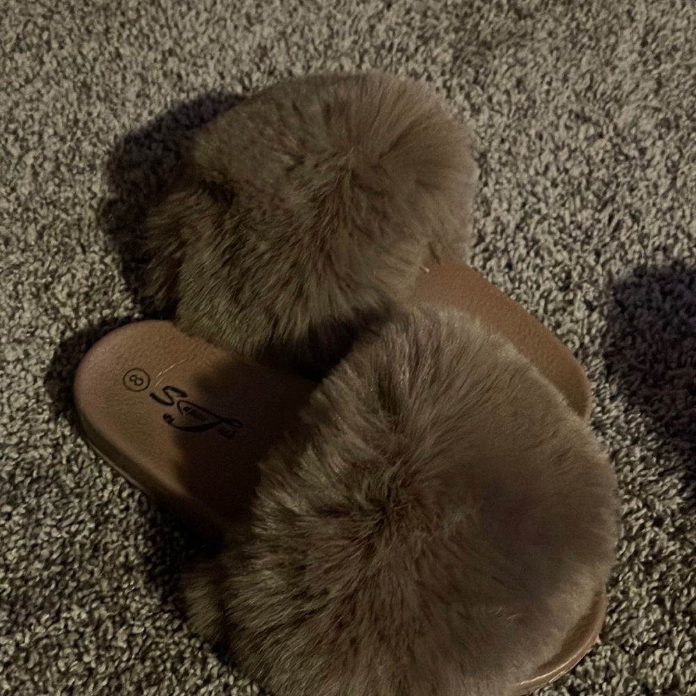 Tan slides